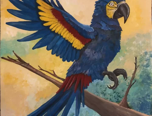 GUACAMAYA PROJECT